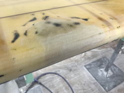 �I�[�o�[�z�[�� RobertAugust 24_10